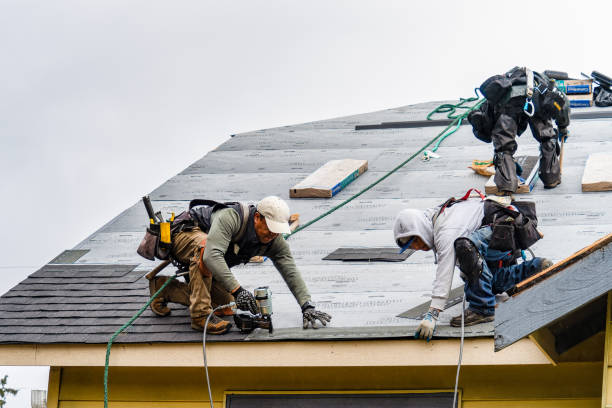 Professional Gutter Installation technician working in Staplehurst, NE